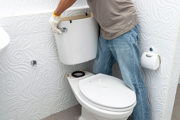Toilets Image Toilets Image